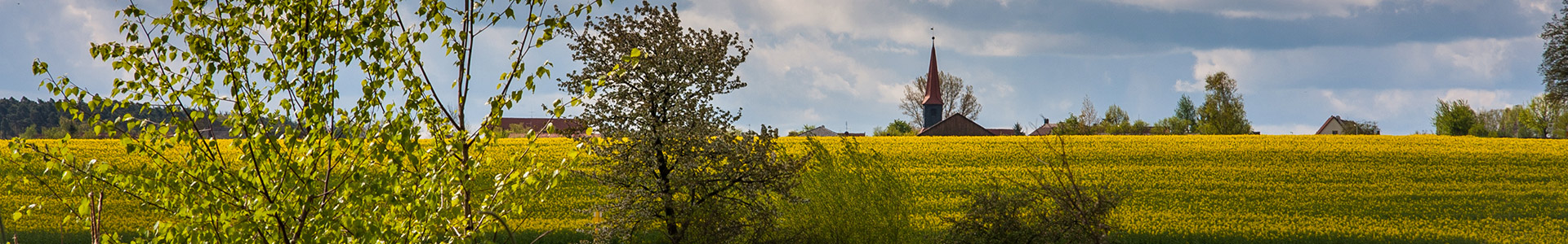 Headerbild: Die Gemeinde