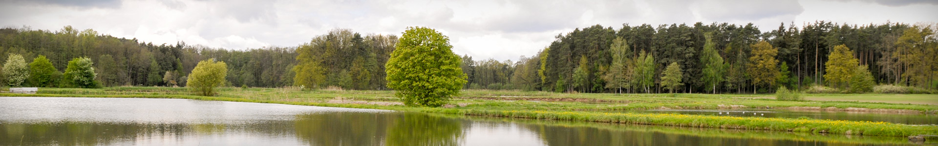 Headerbild: Rathaus & Verwaltung